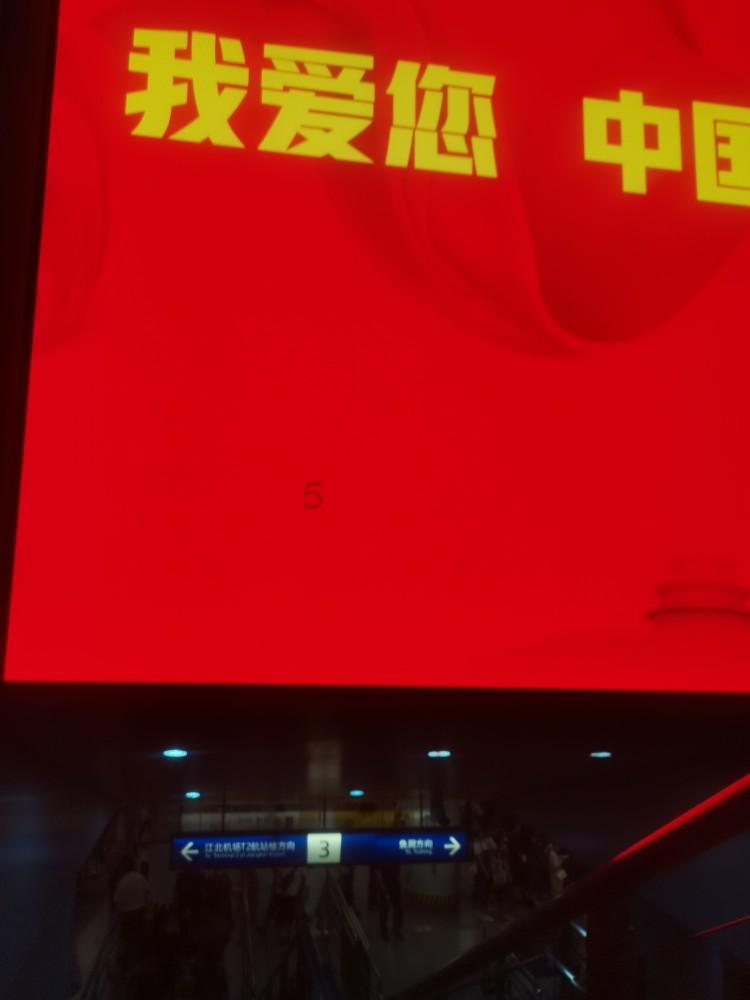 小猫钓鱼游戏龙王版有船