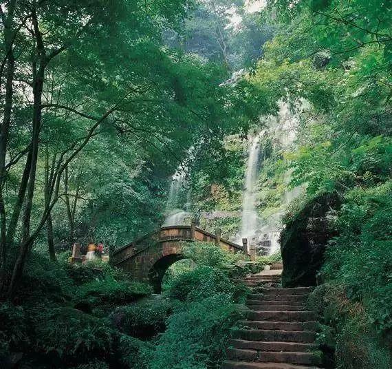 清凉夏日冰淇淋